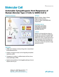 Actionable Cytopathogenic Host Responses of Human Alveolar Type 2 Cells to SARS-Cov-2
