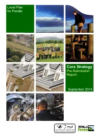 Download Core Strategy Pre-Submission Report