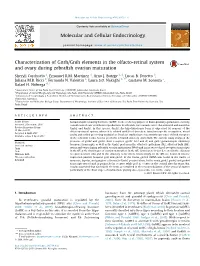 Characterization of Gnrh/Gnih Elements in the Olfacto-Retinal System and Ovary During Zebrafish Ovarian Maturation