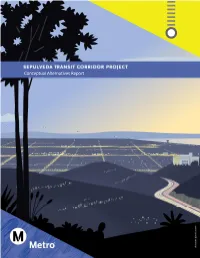 Conceptual Alternatives Report