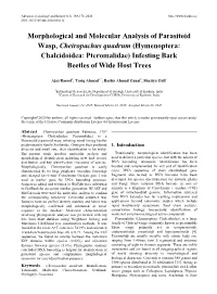Morphological and Molecular Analysis of Parasitoid Wasp, Cheiropachus Quadrum (Hymenoptera: Chalcidoidea: Pteromalidae) Infesting Bark Beetles of Wide Host Trees