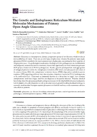 The Genetic and Endoplasmic Reticulum-Mediated Molecular Mechanisms of Primary Open-Angle Glaucoma