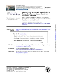 Alternative Activation Comparison Between Innate, Classic, And