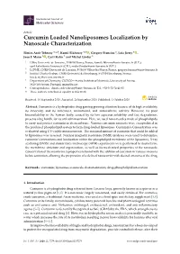 Curcumin Loaded Nanoliposomes Localization by Nanoscale Characterization