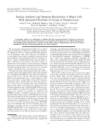 Surface Analyses and Immune Reactivities of Major Cell Wall-Associated Proteins of Group a Streptococcus Jason N