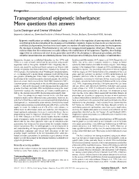 Transgenerational Epigenetic Inheritance: More Questions Than Answers