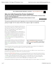 Why Are Cells Powered by Proton Gradients? By: Nick Lane, Ph.D