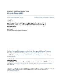 Neural Diversity in the Drosophila Olfactory Circuitry: a Dissertation