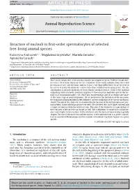 Structure of Nucleoli in First-Order Spermatocytes of Selected Free