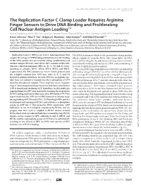 The Replication Factor C Clamp Loader Requires Arginine Finger Sensors to Drive DNA Binding and Proliferating Cell Nuclear Antig