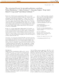 The Structural Basis for Pyrophosphatase Catalysis