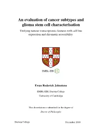 An Evaluation of Cancer Subtypes and Glioma Stem Cell Characterisation Unifying Tumour Transcriptomic Features with Cell Line Expression and Chromatin Accessibility
