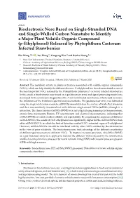 Bioelectronic Nose Based on Single-Stranded DNA And