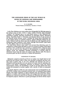 Infrageneric Categories Proposed up Largely Based on Leaf Subgenera and Generic Rank, Although Such Consequently Schizoloma, In