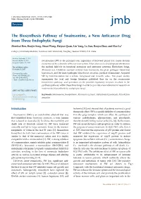 The Biosynthesis Pathway of Swainsonine, a New Anticancer