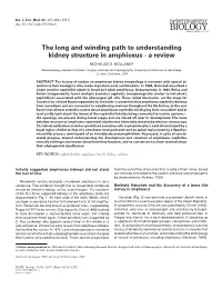 The Long and Winding Path to Understanding Kidney Structure in Amphioxus - a Review NICHOLAS D