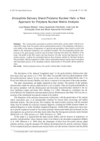 Drosophila Salivary Gland Polytene Nuclear Halo: a New Approach for Polytene Nuclear Matrix Analysis