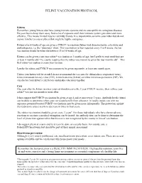 Feline Vaccination Protocol