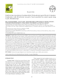 Field Level Auto-Inoculation of Sorghum Chafer, Pachnoda