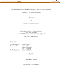 Sample Text Template