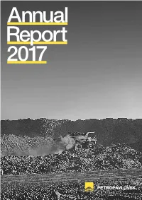 2017 Annual Report and Accounts