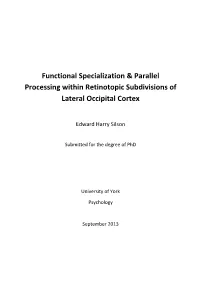 Functional Specialization & Parallel Processing Within Retinotopic