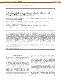 Molecular Phylogeny and Diversification History of Prosopis