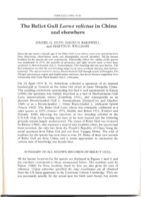 The Relict Gull Larusrelictus in China and Elsewhere