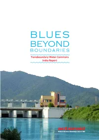 Blues Beyond Boundar