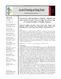 Occurrence and Abundance of Thrips, Whitefly and Their Natural Enemy