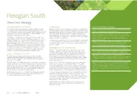 Peregian South Street Tree Strategy