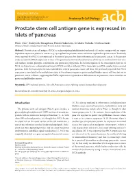 Prostate Stem Cell Antigen Gene Is Expressed in Islets of Pancreas