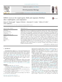 ROBO2 Restricts the Nephrogenic Field and Regulates Wolffian Duct–Nephrogenic Cord Separation