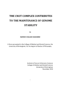 The Cnot Complex Contributes to the Maintenance of Genome Stability