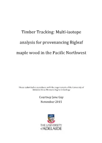 Timber Tracking: Multi-Isotope Analysis for Provenancing Bigleaf Maple