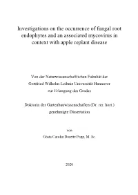 Investigations on the Occurrence of Fungal Root Endophytes and an Associated Mycovirus in Context with Apple Replant Disease