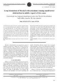 Loop Formation of Meckel's Diverticulum Causing