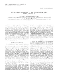 Rapid Communication Morphological Support For