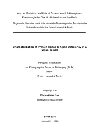 Characterization of Protein Kinase C Alpha Deficiency in a Mouse Model