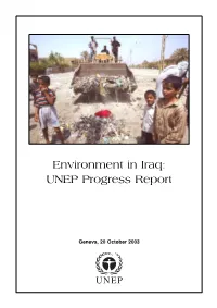Iraq: UNEP Progress Report