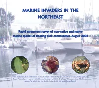 Marine Invaders in the Northeast