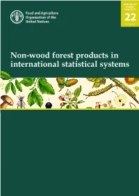 Non-Wood Forest Products in International Statistical Systems