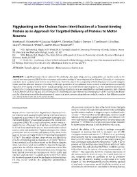 Piggybacking on the Cholera Toxin: Identification of a Toxoid-Binding Protein As an Approach for Targeted Delivery of Proteins to Motor Neurons Matthew R