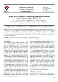 The First Record of Age Structure and Body Size of the Suphan Racerunner, Eremias Suphani Başoğlu & Hellmich, 1968