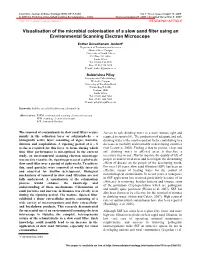 Visualisation of the Microbial Colonisation of a Slow Sand Filter Using an Environmental Scanning Electron Microscope