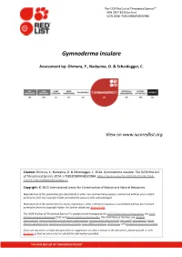 Gymnoderma Insulare