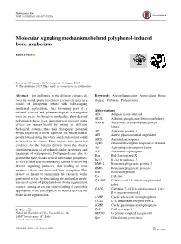 Molecular Signaling Mechanisms Behind Polyphenol-Induced Bone Anabolism