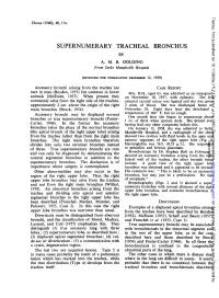 Supernumerary Tracheal Bronchus by A