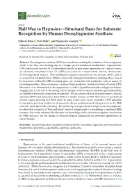 Halfway to Hypusine—Structural Basis for Substrate Recognition by Human