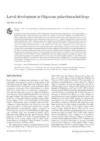 Larval Development in Oligocene Palaeobatrachid Frogs